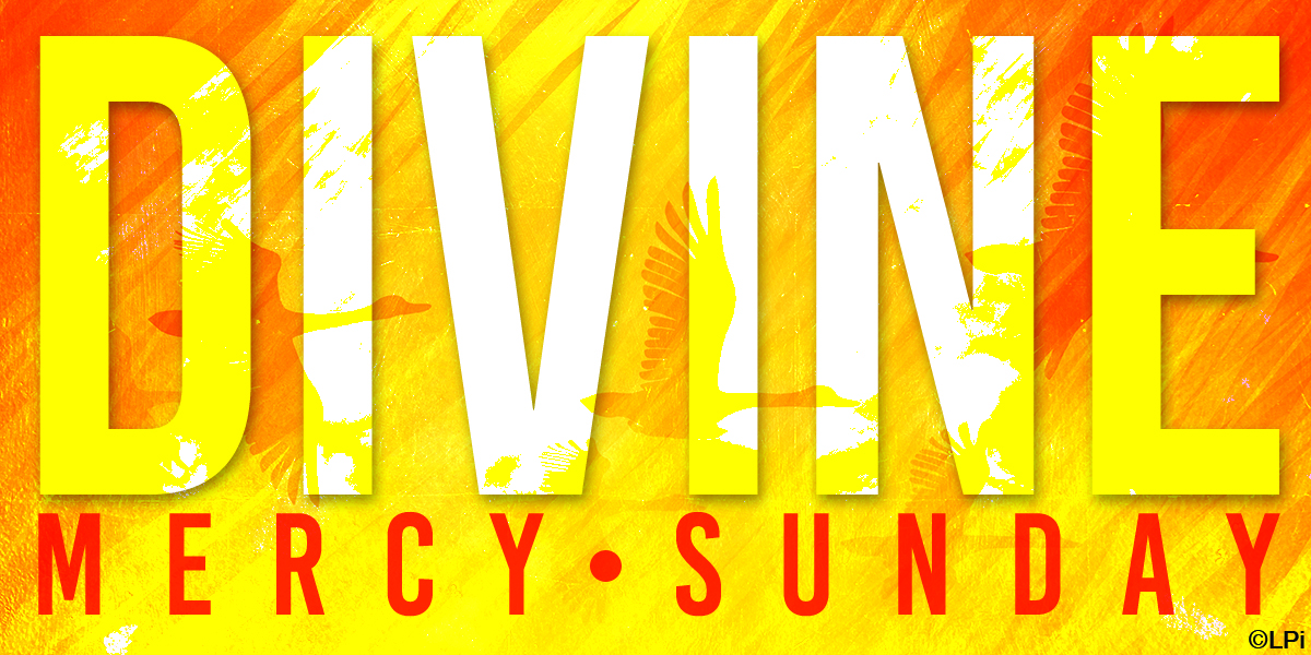 Words of Divine Mercy Sunday against a bright yellow and orange background and shadows of geese in flight