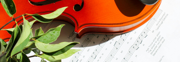 Violin and dried greens on sheet music