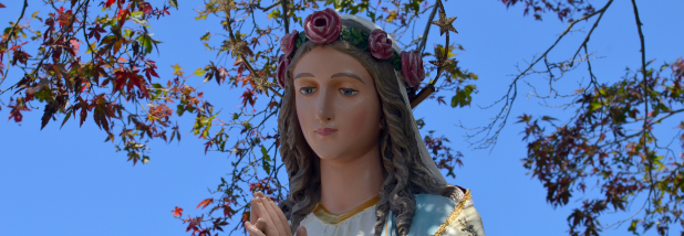 Statue of Mary with Crown of Roses against a blue sky with leaves